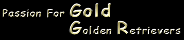 Visit "Passion For Gold" Golden Retrievers