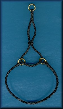 Martingale Collar